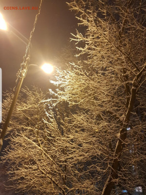 делает - прямо сейчас !!! - Screenshot_20211214-082520_Gallery