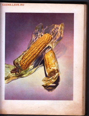 КНИГА О ВКУСНОЙ И ЗДОРОВОЙ ПИЩЕ 1963 г. до 20.12.21 в 23.00 - 025