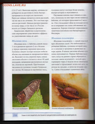 Г. КИЗИМА ЭНЦИКЛОПЕДИЯ ДАЧНИКА 2019 г. до 20.12.21 в 23.00 - 036