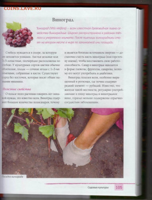 Г. КИЗИМА ЭНЦИКЛОПЕДИЯ ДАЧНИКА 2019 г. до 20.12.21 в 23.00 - 038