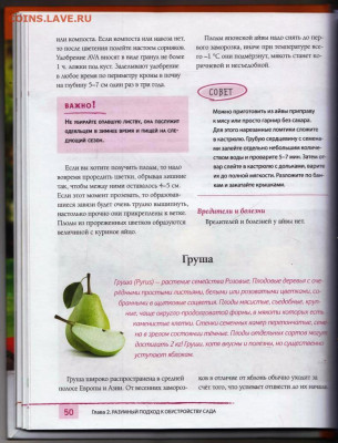 Г. КИЗИМА ЭНЦИКЛОПЕДИЯ ДАЧНИКА 2019 г. до 20.12.21 в 23.00 - 039