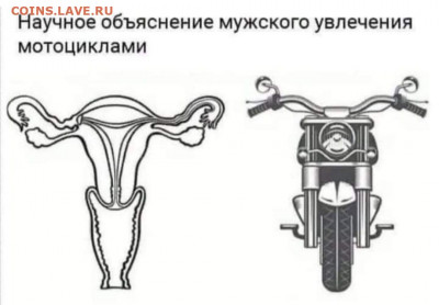 юмор - IMG-20211214-WA0000