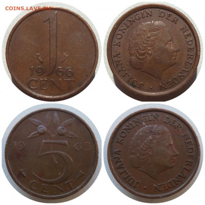 Фикс НИДЕРЛАНДЫ до 18.12.21 в 22:00 МСК - Collage_20211215_083426