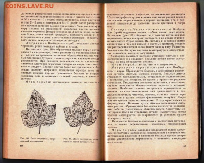 УХОД ЗА САДОМ до 21.12.21 в 23.00 - 011