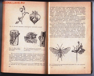 УХОД ЗА САДОМ до 21.12.21 в 23.00 - 012