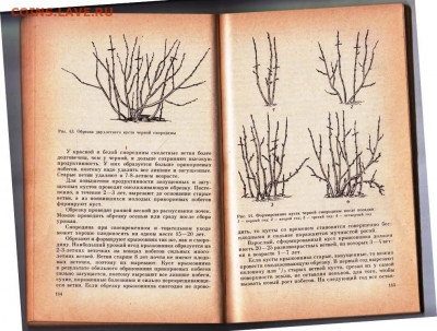 УХОД ЗА САДОМ до 21.12.21 в 23.00 - 013