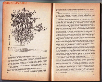 УХОД ЗА САДОМ до 21.12.21 в 23.00 - 014