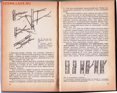 УХОД ЗА САДОМ до 21.12.21 в 23.00 - 015