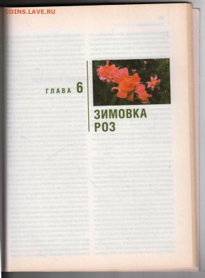 РОЗЫ в Вашем саду 2010 г. до 21.12.21 в 23.00 - 022