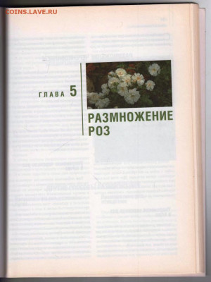 РОЗЫ в Вашем саду 2010 г. до 21.12.21 в 23.00 - 023