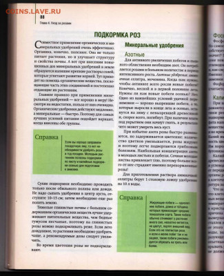 РОЗЫ в Вашем саду 2010 г. до 21.12.21 в 23.00 - 024