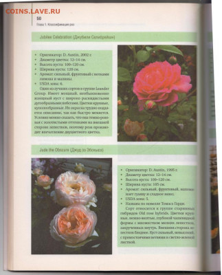 РОЗЫ в Вашем саду 2010 г. до 21.12.21 в 23.00 - 026