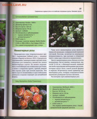 РОЗЫ в Вашем саду 2010 г. до 21.12.21 в 23.00 - 027