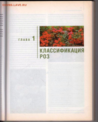 РОЗЫ в Вашем саду 2010 г. до 21.12.21 в 23.00 - 028