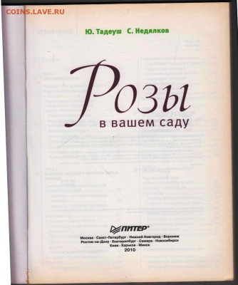 РОЗЫ в Вашем саду 2010 г. до 21.12.21 в 23.00 - 029