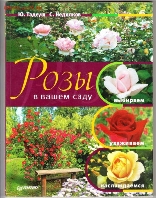 РОЗЫ в Вашем саду 2010 г. до 21.12.21 в 23.00 - 030