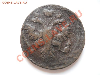 Денга 1737 Года. Окончание в 21.15, 11.11.11. - 59.JPG