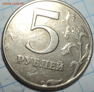 РАЗНОВИДНОСТИ  от  СЛФ - DSC01804.JPG