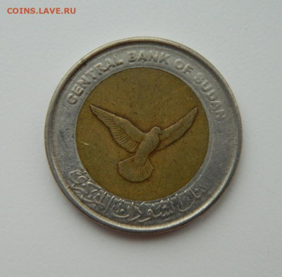 Судан 50 пиастров 2006 г. (БИМ) Фауна до 19.12.21 - DSCN2113.JPG