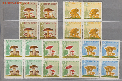 СССР 1964 грибы 5м квартблоки (лаковое покрытие) до 22 12 - 64гр1