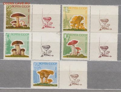 СССР 1964 грибы 5м правый одинаковый купон до 22 12 - 64гр2