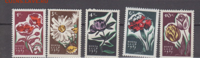 СССР 1965 цветы 5м** до 22 12 - 65е
