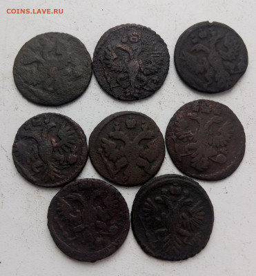 Полушки 1731-1738 гг 8 монет до 19.12 - полушки_2