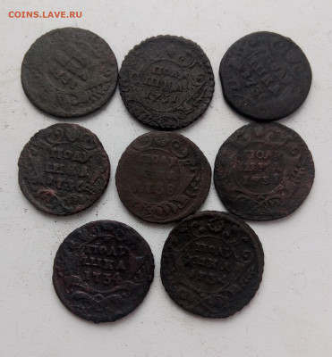 Полушки 1731-1738 гг 8 монет до 19.12 - полушки_1