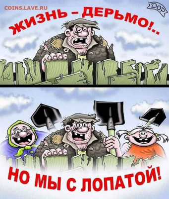 юмор - FB_IMG_1566287536218