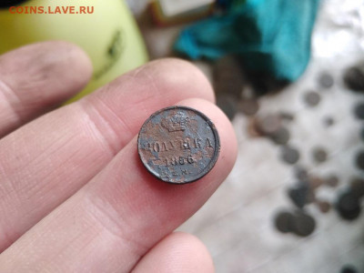 полушка 1856 ЕМ до 21.12.2021 - 1856 (30) - копия