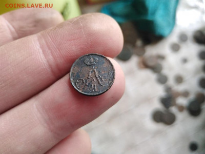 полушка 1856 ЕМ до 21.12.2021 - 1856 (31) - копия