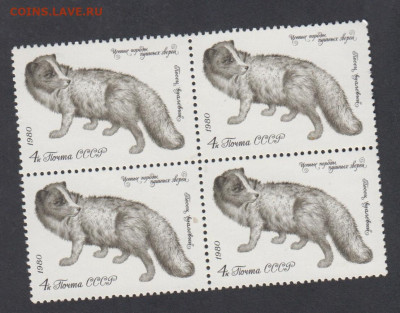 СССР 1980 пушные звери песец квартблок ** до 24 12 - 357