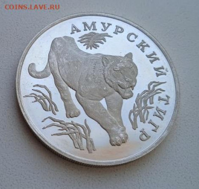 1 рубль 1993 г Амурский тигр,серебро - Тигр4