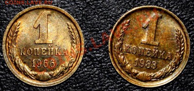 КОПЕЕЧКИ-66 с остями и 83 короткие ости-АЙСНЫЕ - 66-83-1.JPG