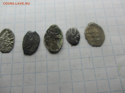 Чешуя . 5 штук . ( ч ). - IMG_0477.JPG