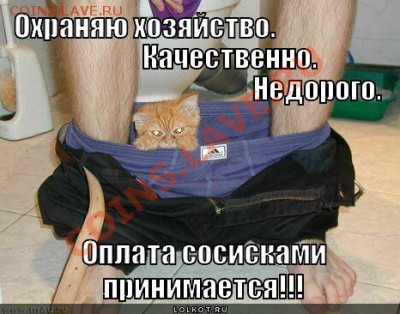 юмор - охраняю хозяйство