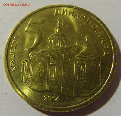 5 динар 2014 Сербия №1 26.12.21 22:00 М - CIMG5587.JPG