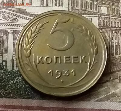 5 копеек 1931. До 24.12.21 в 22.00 - 20211221_233816