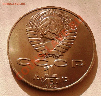 1р. Лермонтов. 1989г. до 11.11.11. - SAM_1803.JPG