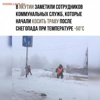 юмор - gmywGBPnLok