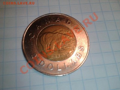 ФАУНА 1 до 6.11.11 в 21.30 - 2011-11-03 09.57.58