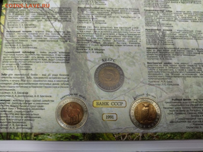 Набор монет Красная книга 15 штук 1991-1994 - IMG_20211223_141828