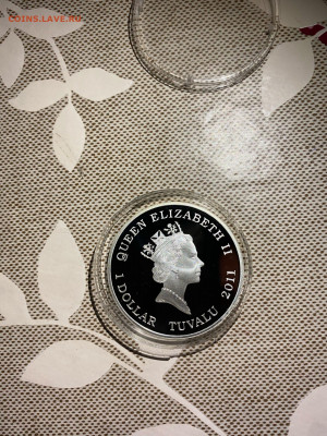 1 Доллар. Паук Австралийская Вдова Красноспинный паук, 2011  - 8r2FRQtqRBY