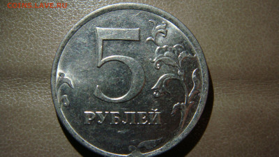 Вопросы по разновиднстям от сахарок - DSC01848.JPG