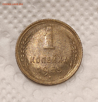 1 копейка 1955 красивая с 200р до 30.12.21 22.00 - IMG_20211226_184752