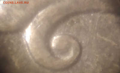 Вопросы по разновидностям от orion98 - IMG_20211227_013217