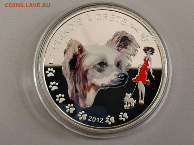 1000фр 2012 Бенин- Китайская хохл собачка, Ag999, до 01.01 - С Собака Хохлатая-2