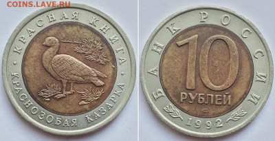 Красная книга: филин, казарка, кобра. Оценка. - кр 3