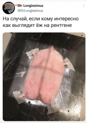 юмор - IMG-20211227-WA0003