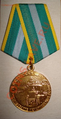 Помогите определить подлинность двух медалей СССР - DSC02294-1.JPG